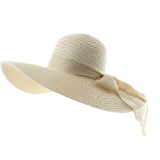 Hats: HAT-DISP-FPY-96PC