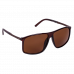 SE-OR32 Orion Series Women's Shades